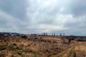 участок по адресу Шкільна