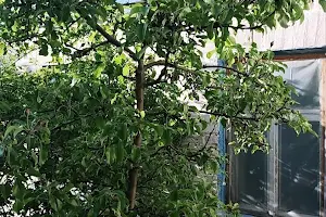 участок по адресу Дружбы ул.