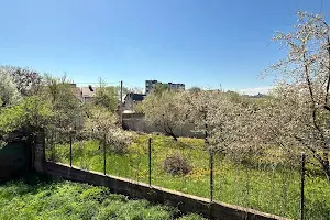 дом по адресу Ленкавского ул.