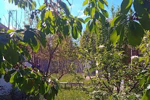 будинок за адресою Платанова вул.