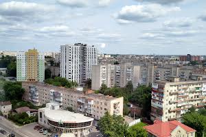 комерційна за адресою Чорновола вул., 29