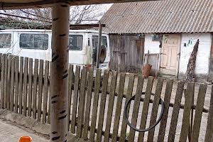 будинок за адресою Володимира Великого, 14