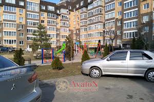 коммерческая по адресу Софиевская, 2а