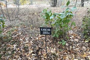 ділянка за адресою с. Великі Дмитровичі, 