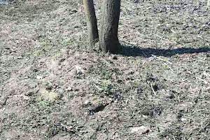 участок по адресу Коцюбинского, 22