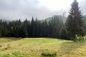 участок по адресу Село