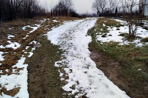 ділянка за адресою с. Заверешиця, Будзинь