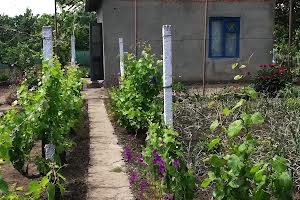 будинок за адресою Татарбунари, Героїв України вул. (Горького)