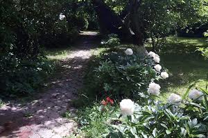 дом по адресу Петра Сагайдачного ул., 29
