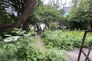 квартира за адресою Миколи Лисенка вул., 8