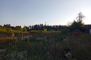 будинок за адресою с. Руська поляна, Чехова, 7