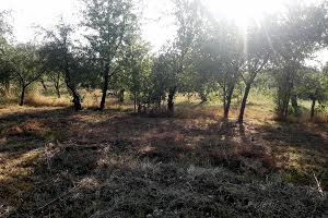 ділянка за адресою Привокзальна
