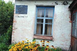 комерційна за адресою Святомиколаевська, 129