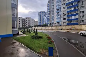 квартира за адресою Яни Червоної вул. (Родникова), 11а
