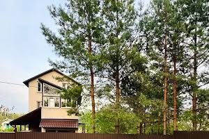 будинок за адресою Соснова