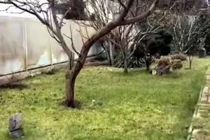 дом по адресу Стражевского