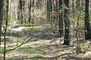 ділянка за адресою с. Мала Солтанівка, 