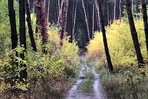 квартира за адресою Кам`янське (Дніпродзержинськ), Івана Франка просп., 26