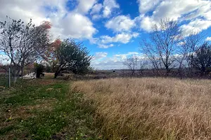 ділянка за адресою Веселинівська