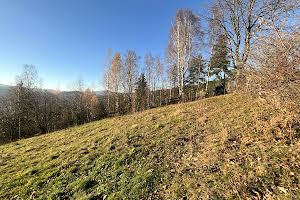 ділянка за адресою Країще