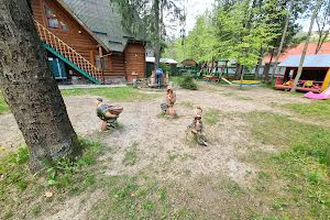 комерційна за адресою Тараса Шевченка вул., 84в