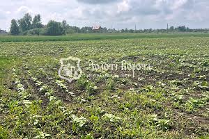 ділянка за адресою Старокиївська, 103