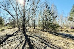 участок по адресу с. Дмитровка, Північна