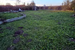дом по адресу Івасюка
