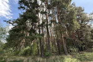 участок по адресу Слободская ул., 9