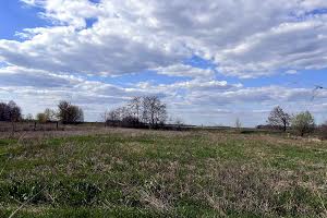 будинок за адресою с. Великі Осняки, миру