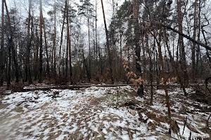 участок по адресу Котляревського, 53
