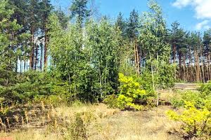 участок по адресу Незалежності