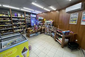 комерційна за адресою Гетьмана Кирила Розумовського вул. (Миколи Краснова), 17