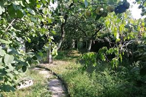 будинок за адресою Центральна вул.