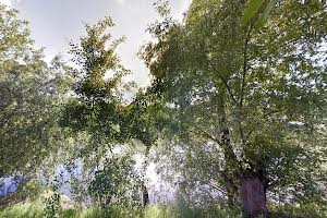 будинок за адресою Вишгородська вул., 15