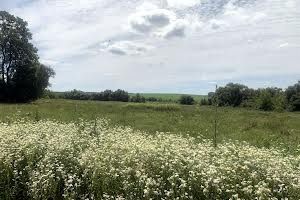 ділянка за адресою с. Шумівці, гагаріна