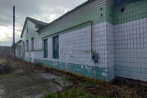 комерційна за адресою Центральна, 27