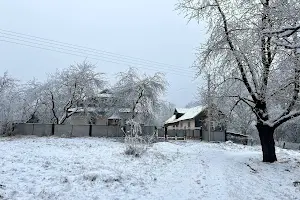 будинок за адресою Косів, Шевченка