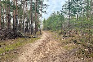 ділянка за адресою Шевченка вул.