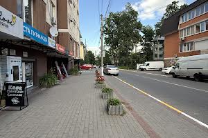 коммерческая по адресу Василя Стуса ул. (Пушкинская), 62 є