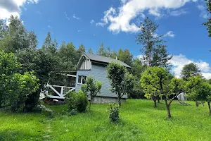 участок по адресу Центральна