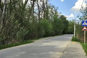 участок по адресу Спортива