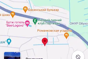 участок по адресу Сосновый Бор ул.