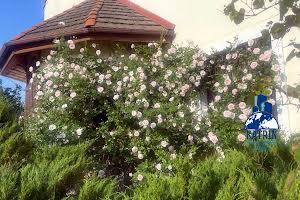 дом по адресу Ветряная ул., 75