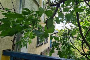 будинок за адресою 21-й км Старокиевской дороги вул.