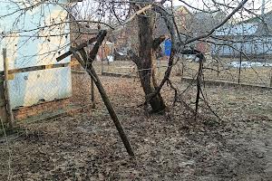 дом по адресу Опанаса Шафонского ул., 46