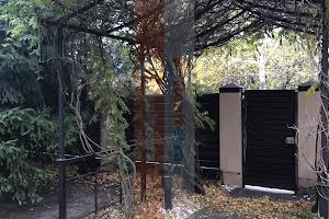 будинок за адресою с. Мала Олександрівка, Розкішна