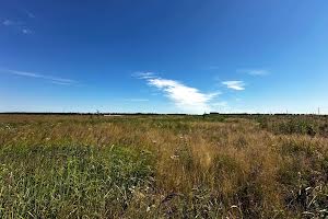 ділянка за адресою с. Михайлівка-Рубежівка, 