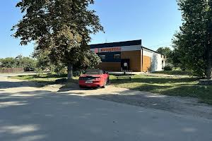 комерційна за адресою Волонтерська вул. (Кінноармійська), 39А