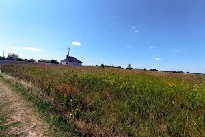 ділянка за адресою с. Киселівка, Берегова